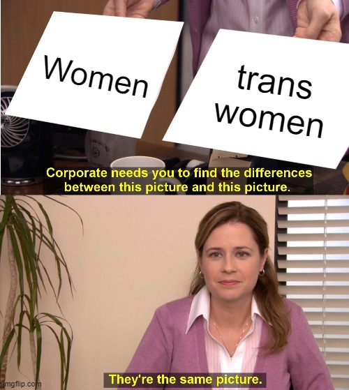 RespectfulMemes's tweet image. Happy transgender awareness week!