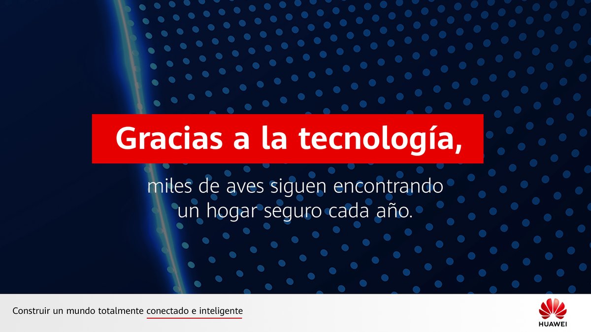 HuaweiMex's tweet image. La tecnología también protege la naturaleza más allá de México. 🌎

En China, el proyecto TECH4ALL aplica IA y Big Data en el delta del Río Amarillo para cuidar aves migratorias como la cigüeña oriental y conservar ecosistemas vitales.