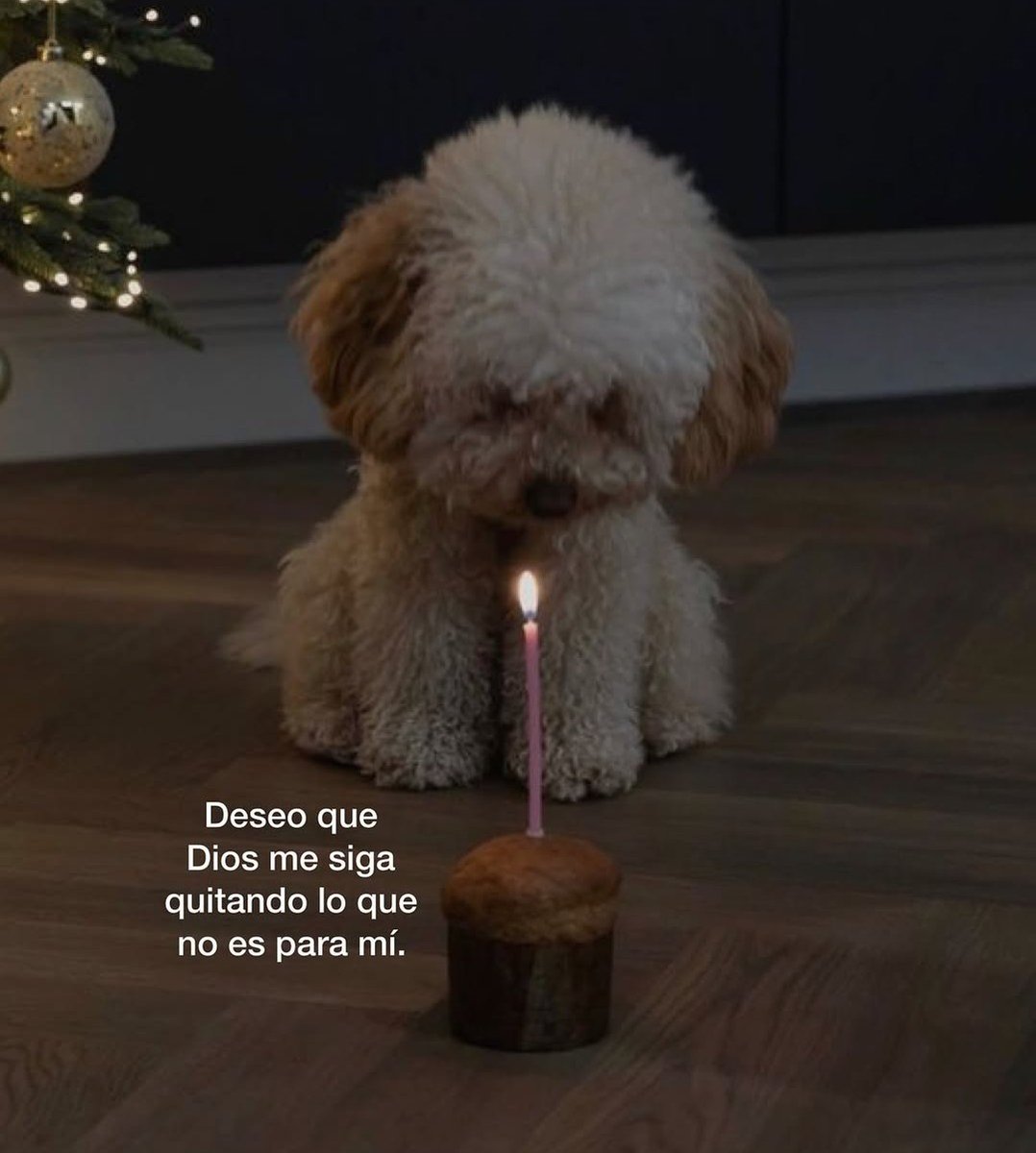 180Grado5's tweet image. 🙏🏻🙏🏻