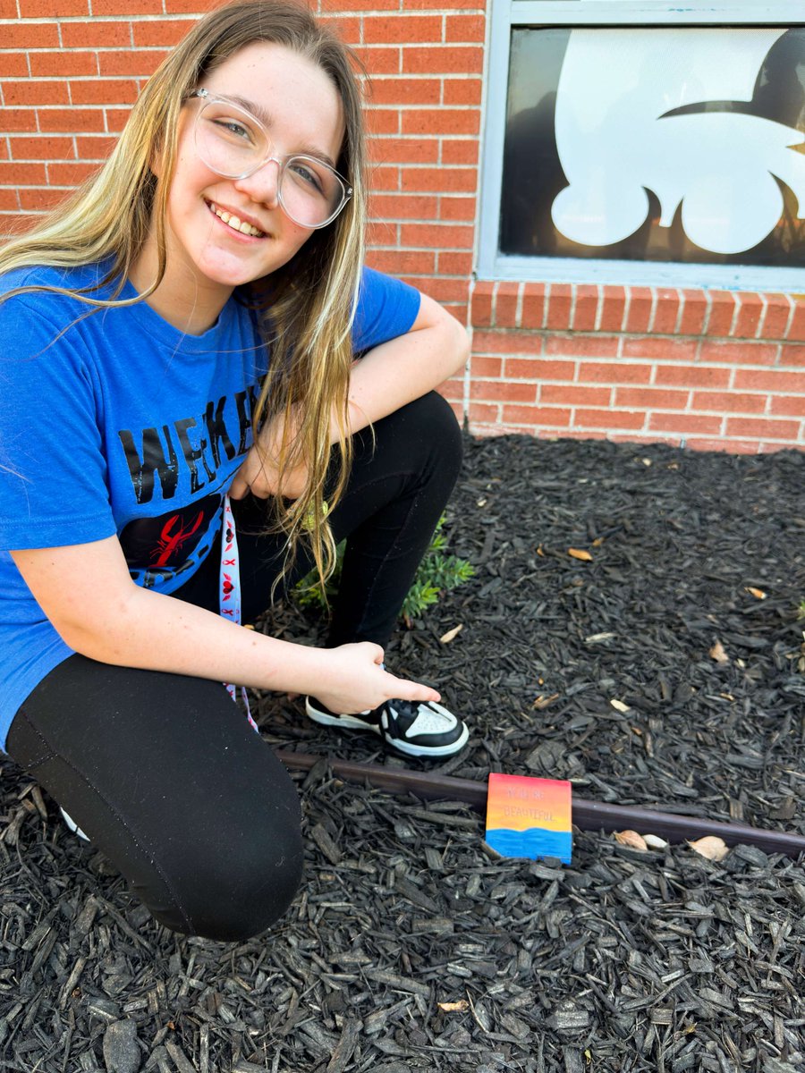 TAPS Academy tweet media