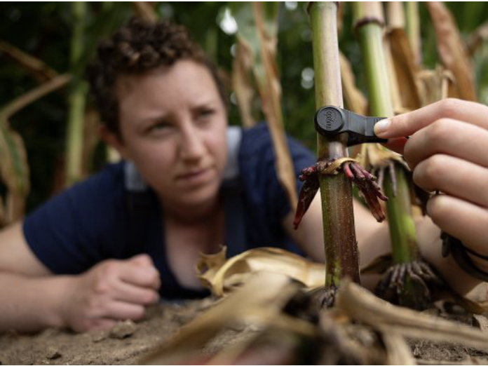North Central IPM Center tweet media