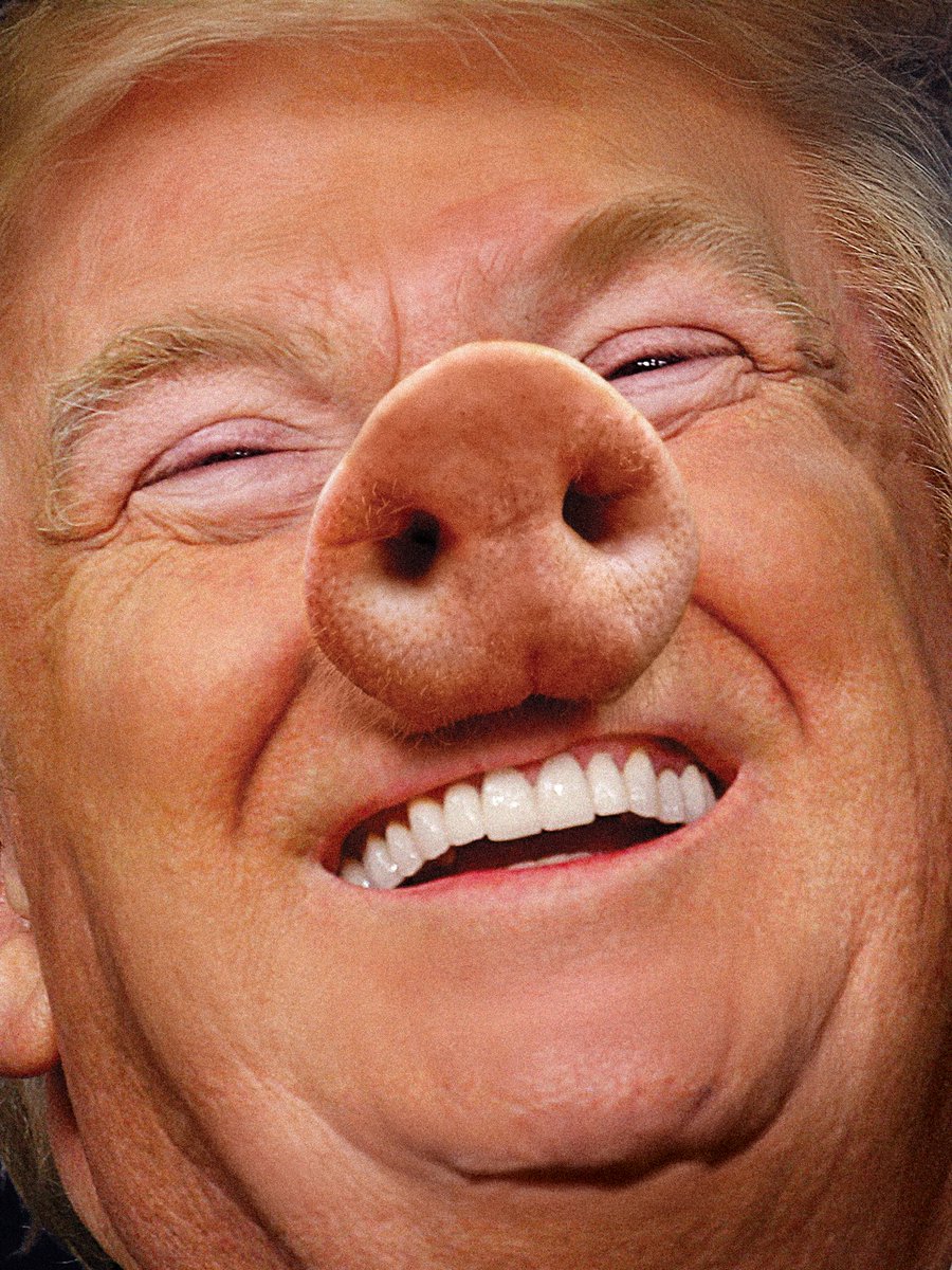 Increíble Trump llame cerdita a una mujer reportera, ese es #Trump 🐷