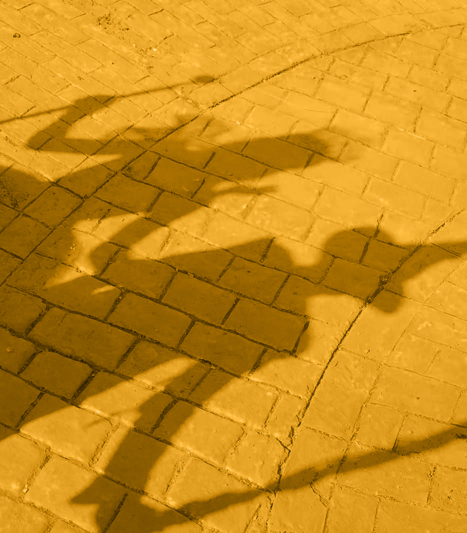 vhscut's tweet image. 🟨 | Mais um tijolo para a estrada! A nota de ‘Wicked: Parte 2’ no Metacritic caiu para 60 após a adição de novas críticas.