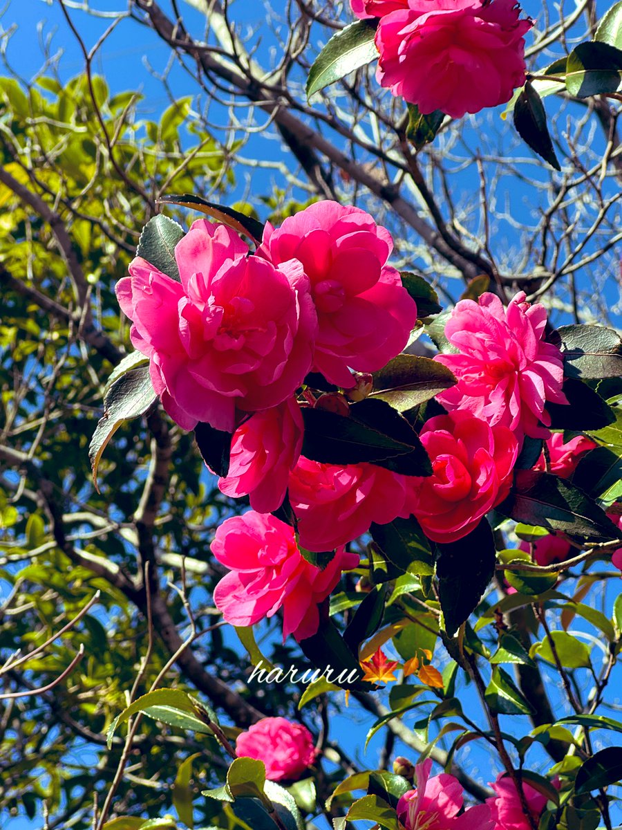 TMO.com【プロフ必読】 プロフ必読願います