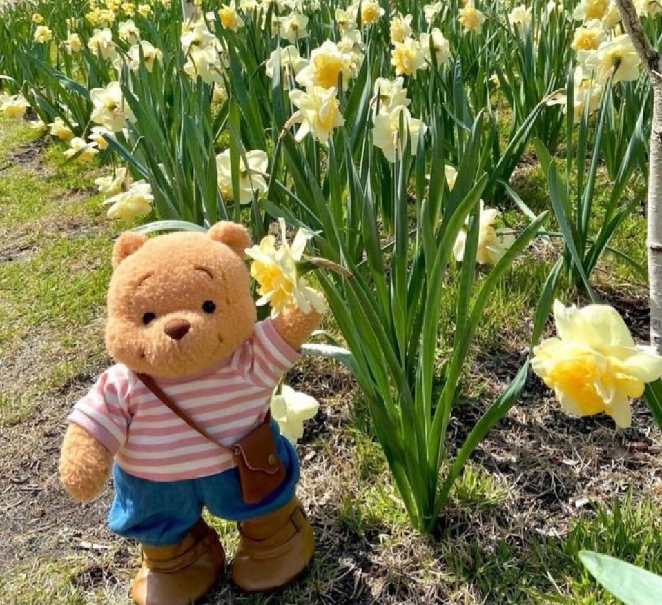 zephyrinsky's tweet image. valeu a pena pois agora estou lanchando um delicioso bolo