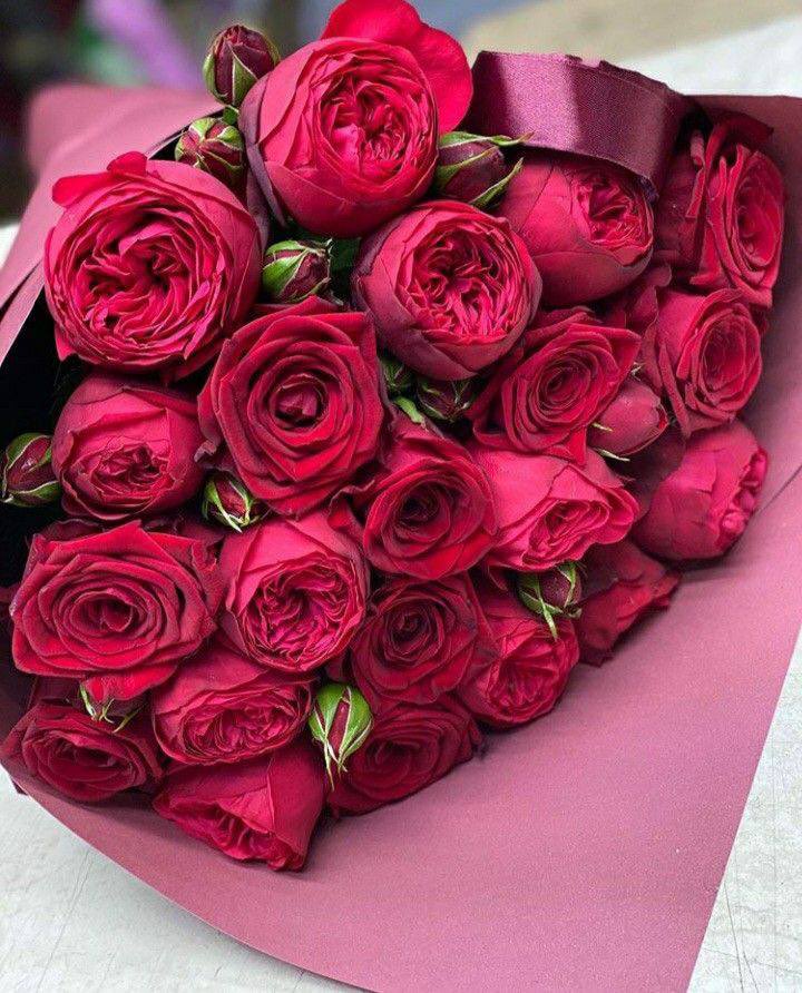 ابتسامة الشفاة يرسمها البشر 
أما ابتسامة القلوب فيرسمها القدر👌🏼🤍