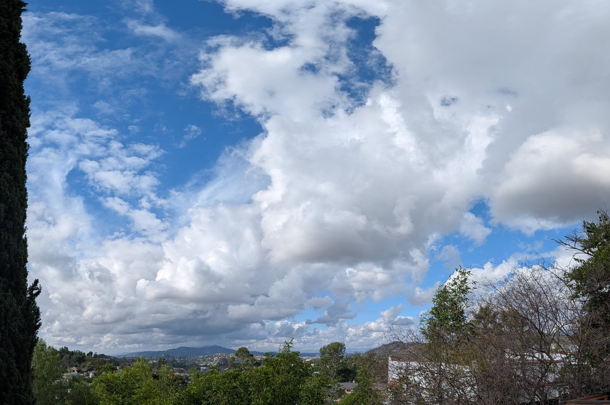 Camera on the Pixel 10 is dope..