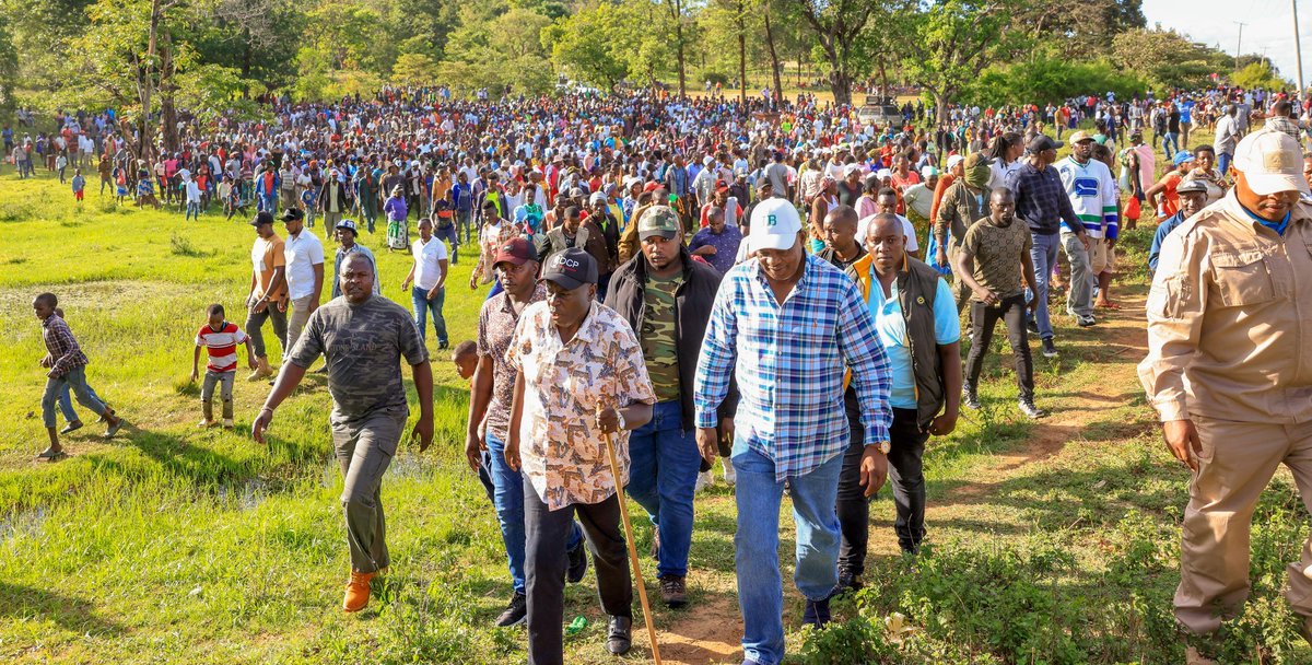 They threw him to the wolves 
He came back leading the pack