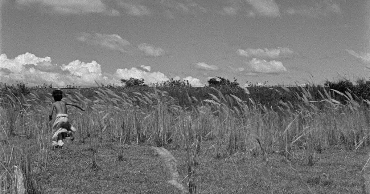 Trilogia de Apu
Dir. Satyajit Ray
🇮🇳

Pather Panchali (1955)
Aparajito (1956)
The World of Apu (1959)

drive legendado pt-br