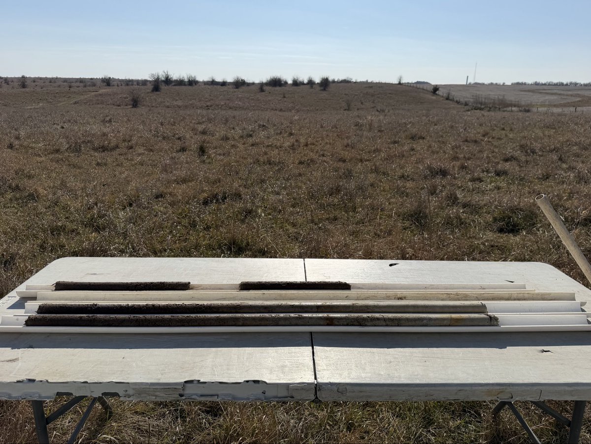 soilsdiva tweet media