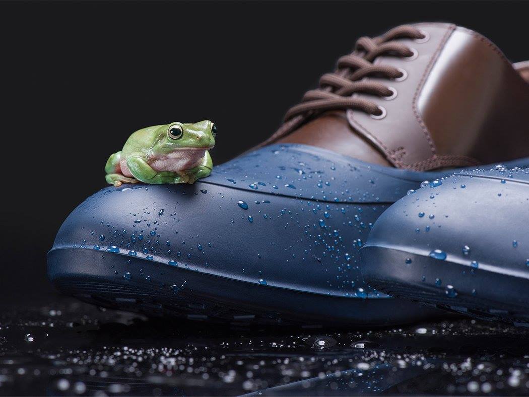 Wet weather is once again upon us and you need to protect those stylish shoes you like wearing. <a href="/SWIMSofficial/">SWIMS</a> rubber galoshes offer the protection and enhanced grip your footwear needs! Email contact@oconnors.ca for more info.

#oconnors #yyc #galoshes #toerubbers #ShoeCare