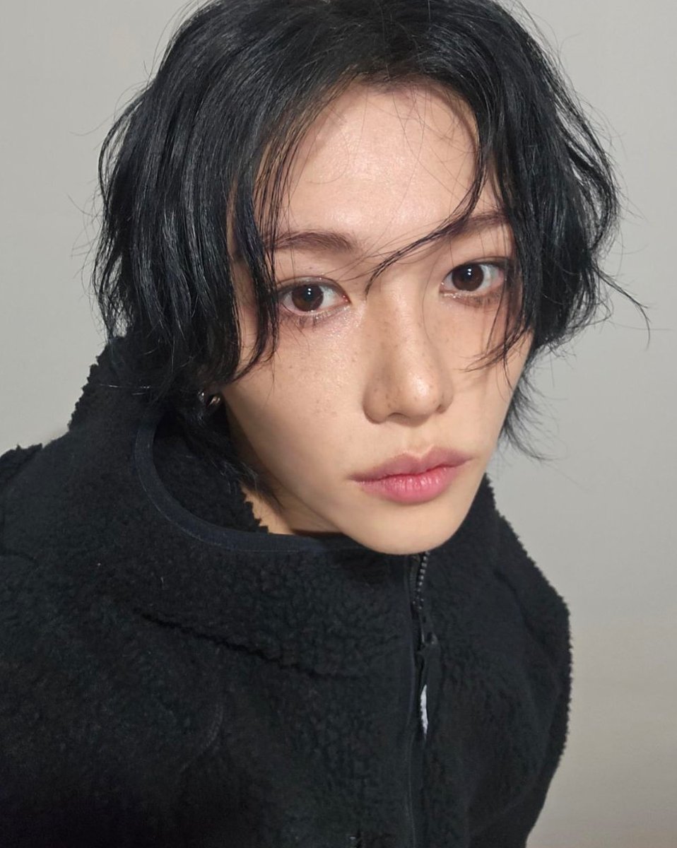 mr. felix tweet media