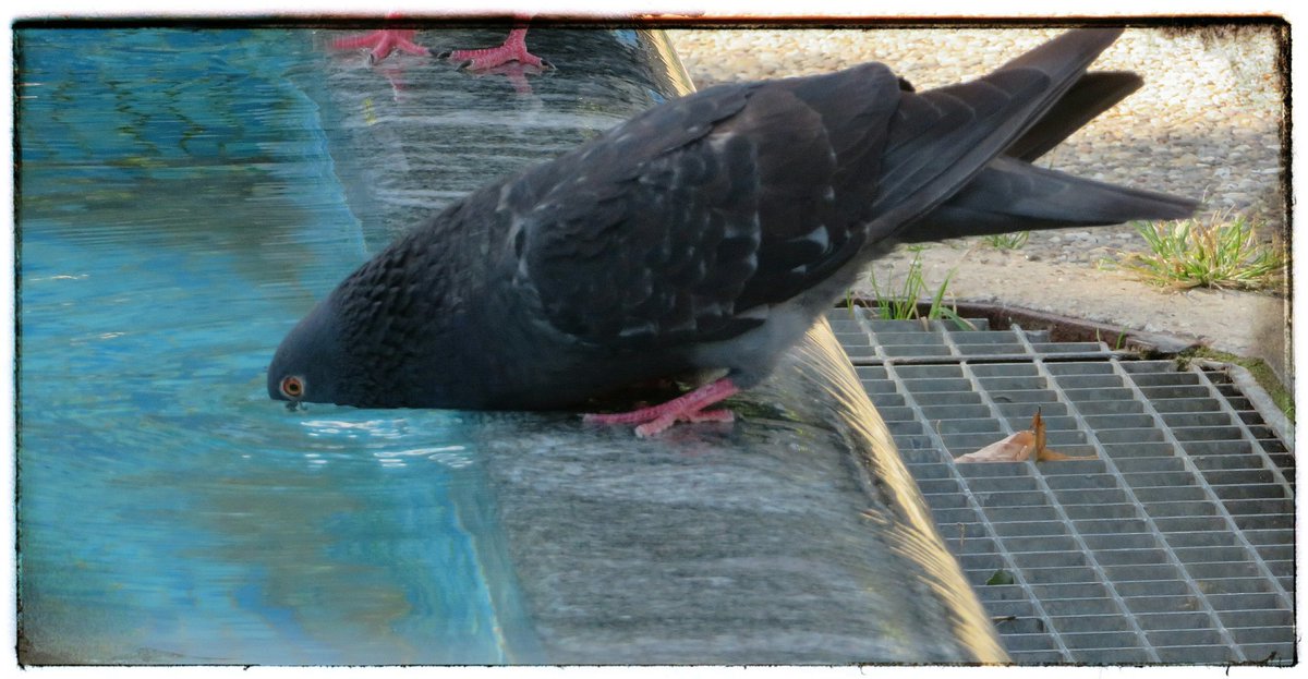 When you're thirsty 😊