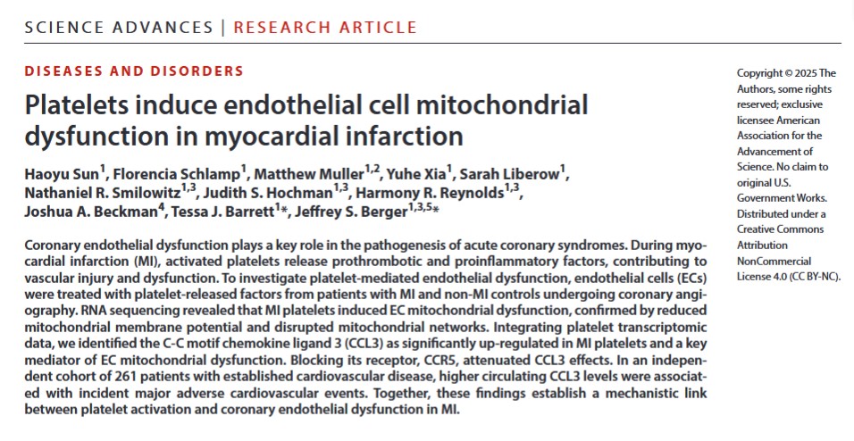 NYU CVD Prevention tweet media