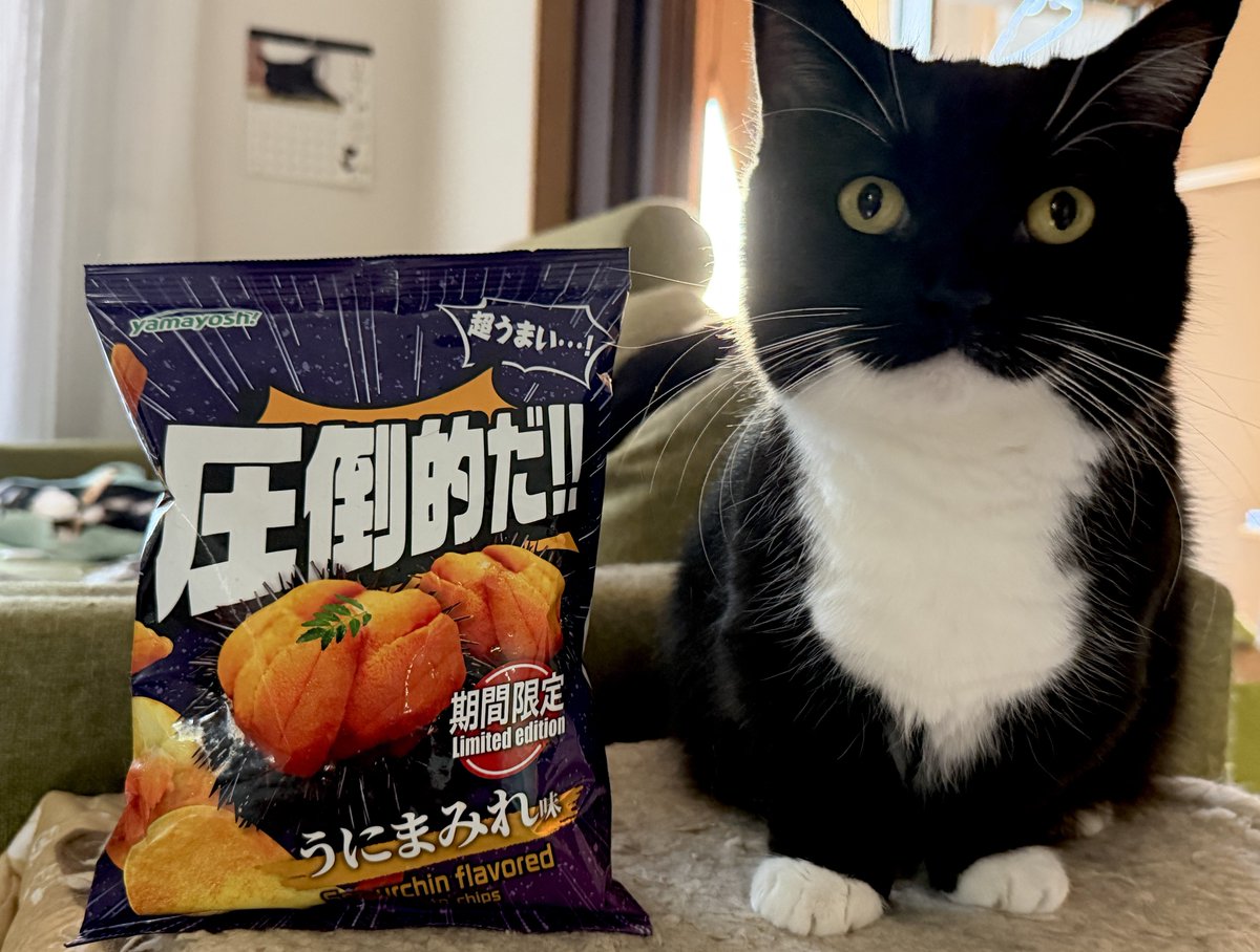 I found sea urchin–flavored chips!
Since we have our own sea urchin “Uni” at home, I just had to buy them :3
Would you try sea urchin chips?