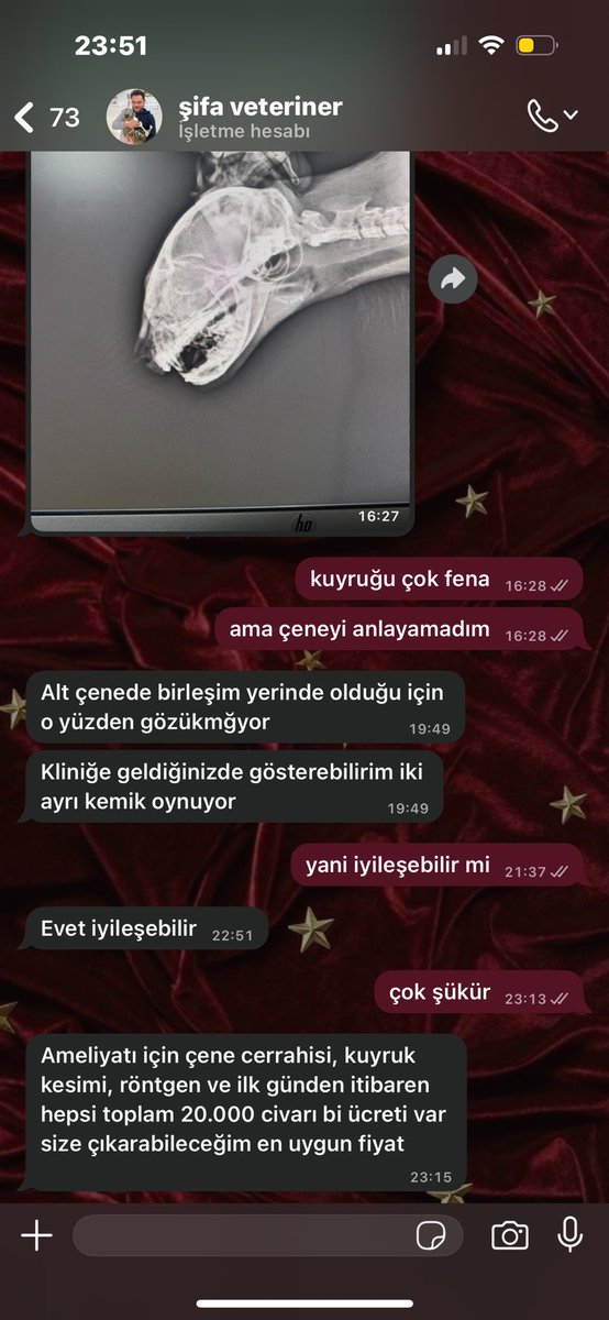 rariellaaa's tweet image. arkadaşlar kedi için hekim 20.000 tl kadar bir ücret çıkardı destek olmak isteyenler olursa açığız