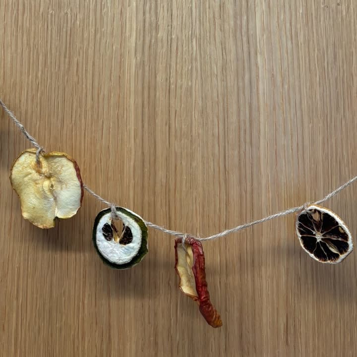 This holiday season, give the gift of sustainable garden decor. Join #BeechBluff staff on November 20 from 4-5 p.m. for a fun workshop on making ornaments, garlands, and wreaths using items from our Demonstration Garden!🌱🍏 

Registration required. ow.ly/wbKb50Xt7bb