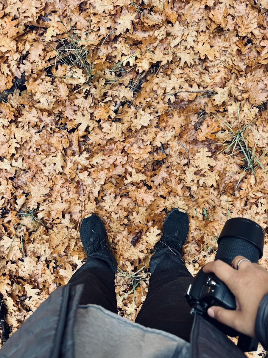 It’s Trail Tuesday 🙌🏽 lol 

Went for a little hike and captured some awesome nature photos.   It so beautiful right now here in SoCal.  

Did you go hiking today?