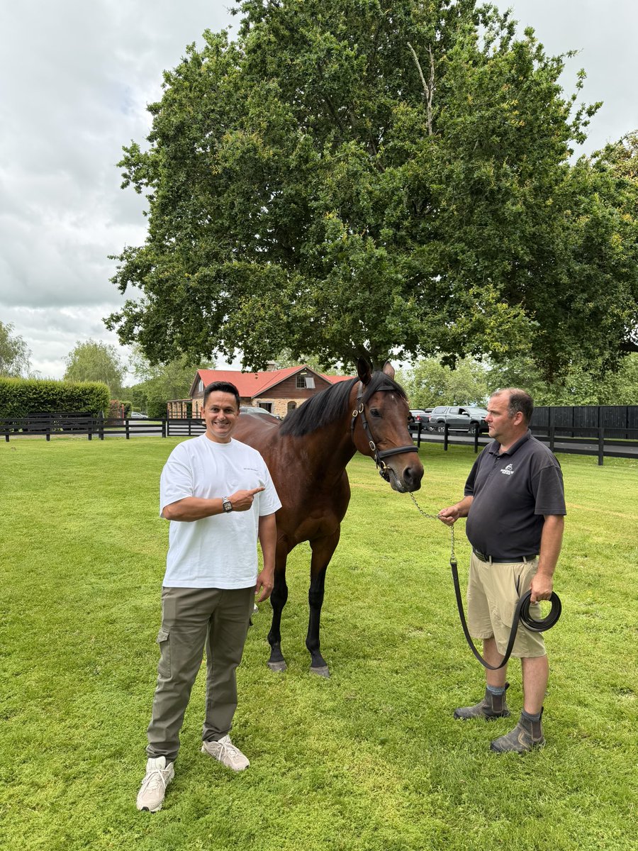 Paddington. (Siyouni) 4x G1 Winner. 🤩 🏆