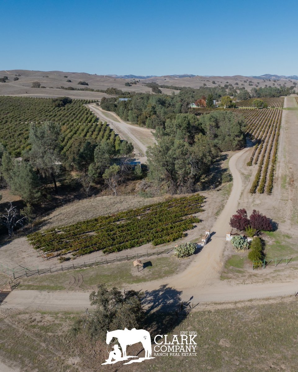 ClarkCompanyRRE's tweet photo. NEW LISTING: Oak Creek Ranch

Rolling hills with apples, grapes, &amp; open grazing land. Improvements include a mission-style home, barn, shop, hangar, &amp; private airstrip. The property is solar-powered &amp; cross-fenced, offering functionality &amp; rural charm.

https://t.co/tWiVMO7KLH https://t.co/cls9IE45BB