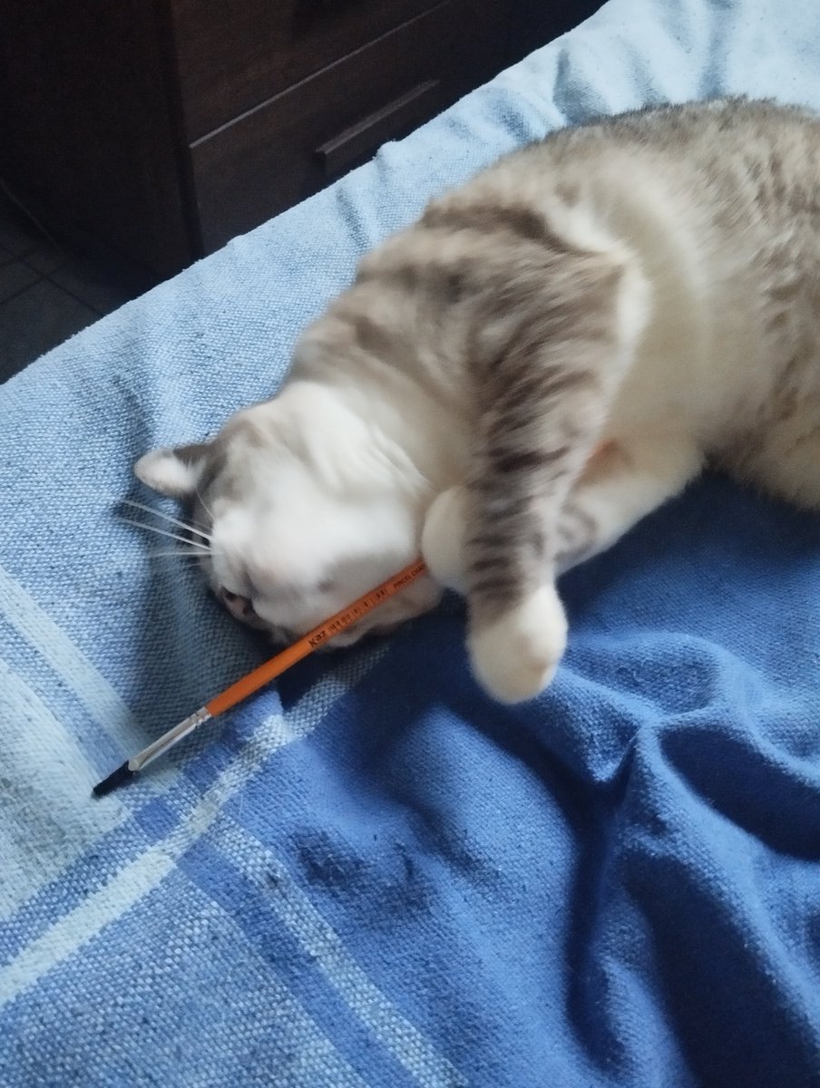 _birifulG's tweet image. gata esquerdista petralha descobriu a rounet e agora quer ser artista pra viver de auxílio do governo😡😡