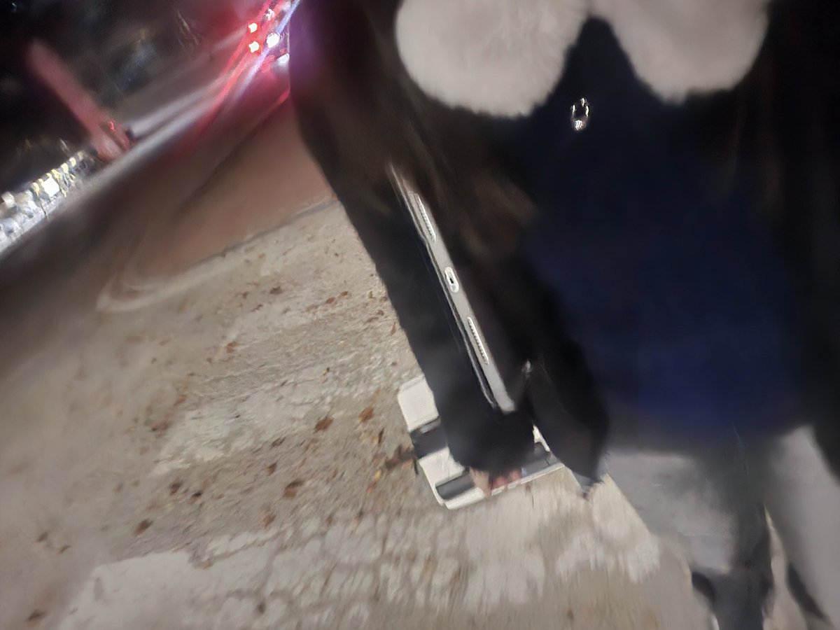 수학여행 다녀올게용