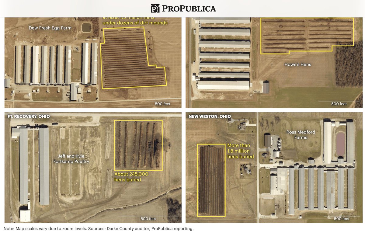 🚨 MUST READ! Amazing new piece from <a href="/propublica/">ProPublica</a> 

We aren't going to understand this virus by studying it in a lab. We need boots on the ground collecting samples and footage from everywhere and everyone. And we aren't going to be able to vaccinate our way out of this. 

As long