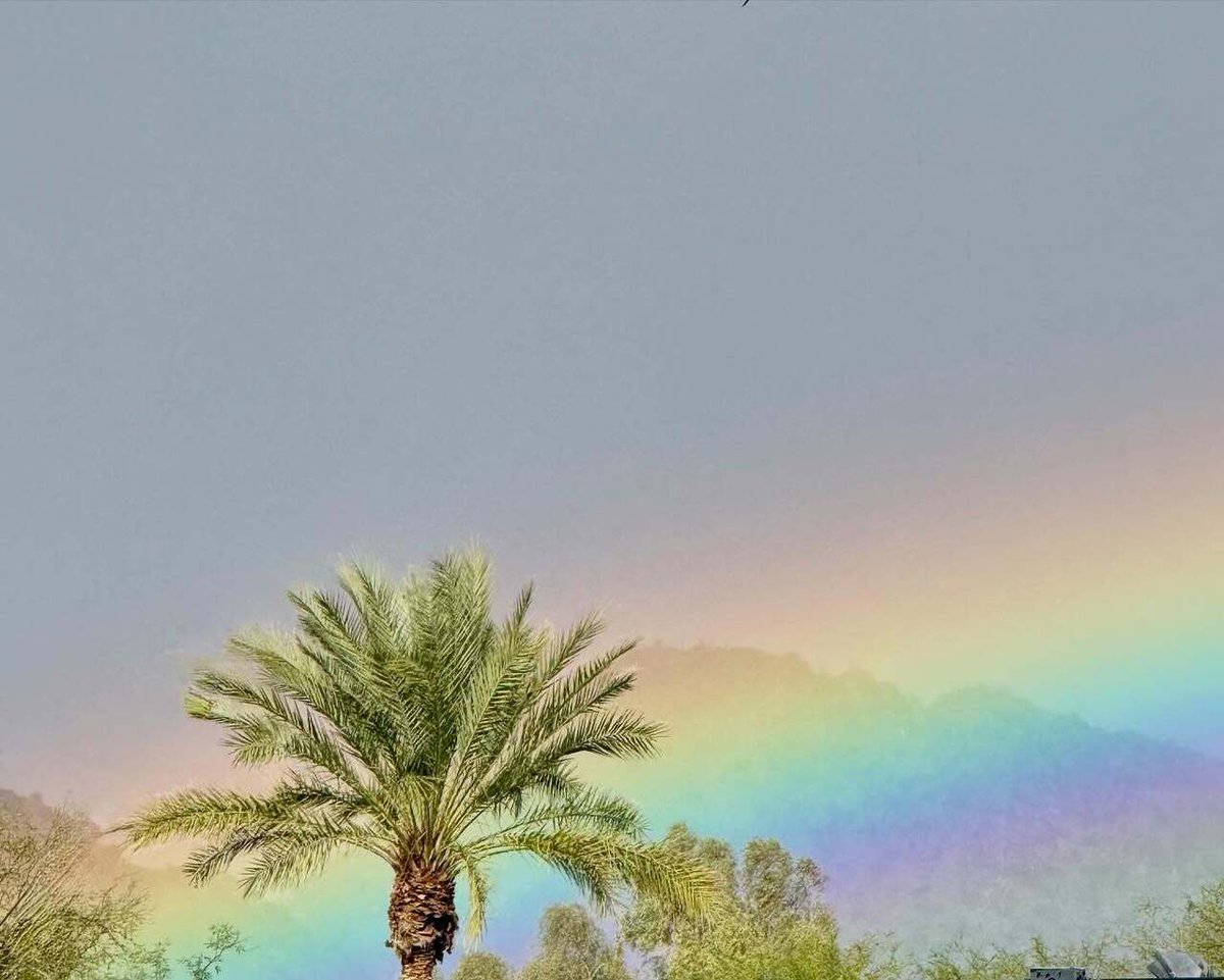 Katie Raml tweet media