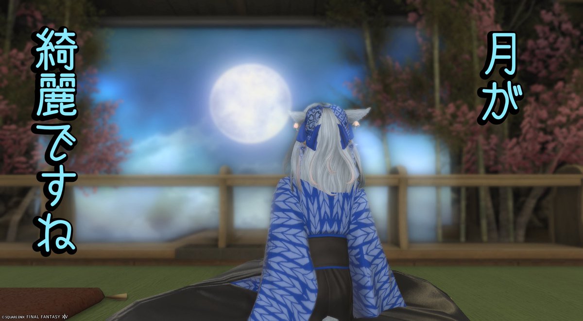 mizuna_karashi's tweet image. おはようございます！

突然ですがＦＦはなんで読むタイプ？
えふえふ？
ふぁいなるふぁんたじー？
ふぁいふぁん？
私たちの地域ではふぁいふぁんと言ってました。
あ、月関係ないですね。
月はお酒を飲んでほてった体を冷やしつつ歩く夜道を照らしてくれる時が一番好きです。
みんなはどの月が好き？