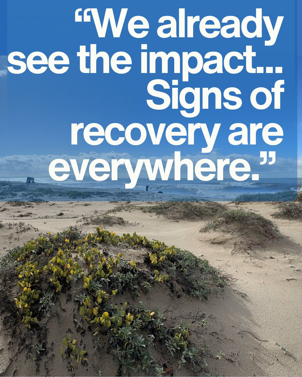 “We already see the impact... Signs of recovery are everywhere.” Check out <a href="/NOAAFisheries/">NOAA Fisheries</a> full recap on the restoration since the Refugio oil spill  fisheries.noaa.gov/feature-story/…