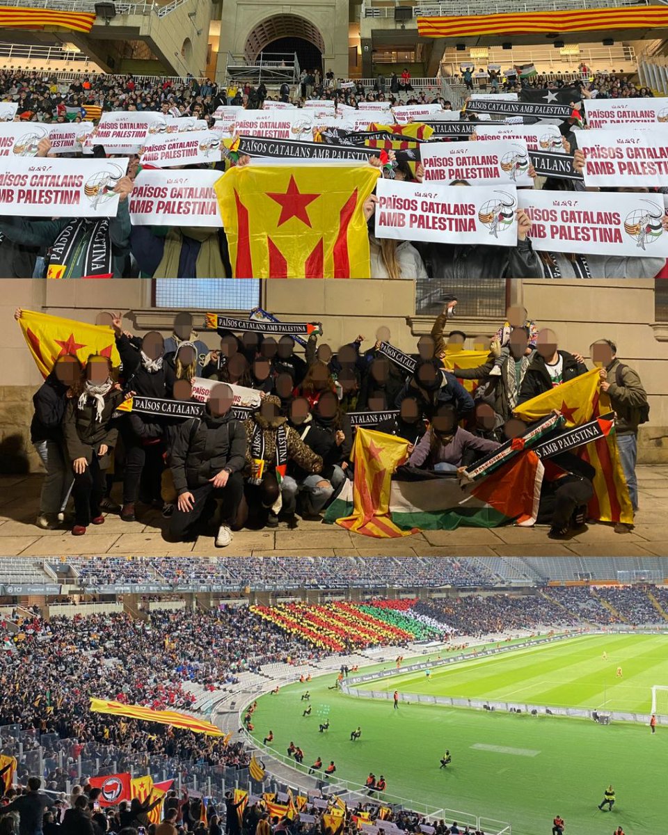 Arran Sabadell tweet media