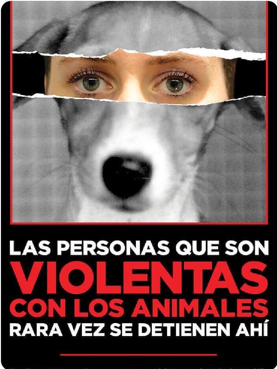 <a href="/Plu2Desampara2/">Peludos Desamparados</a> <a href="/mamiblue2015/">mamiblue🐶😸🦊🇲🇽</a> <a href="/SSPC_GobOax/">SSPC Oaxaca</a> M@ldit0 psicópatą!!! Por qué no lo han detenido??? Urge rescatar a la perrita!!! 

<a href="/LicAnimalista/">Abogado Animalista</a> 
<a href="/Mr_Civico/">🎙️ ᗰᖇ. ᑕíᐯIᑕO ®🇲🇽₿ ✖️</a> 
<a href="/FundacionToby/">Fundación Toby</a> 
<a href="/SalvemosABenito/">Salvemos a Benito</a> 
<a href="/Elleny1921/">Elleny M.L Palacio 🦜🦜🦮💫🙏🌜🌞</a> 
<a href="/Hechizero_38/">★·.·´HeChIzErO`·.·★</a> 
<a href="/adnnoticiasmx/">adn Noticias</a> 
<a href="/DiloConPerritos/">Dilo con perritos</a> 
<a href="/Perrosenlacalle/">Alfredo Marquez T.</a>