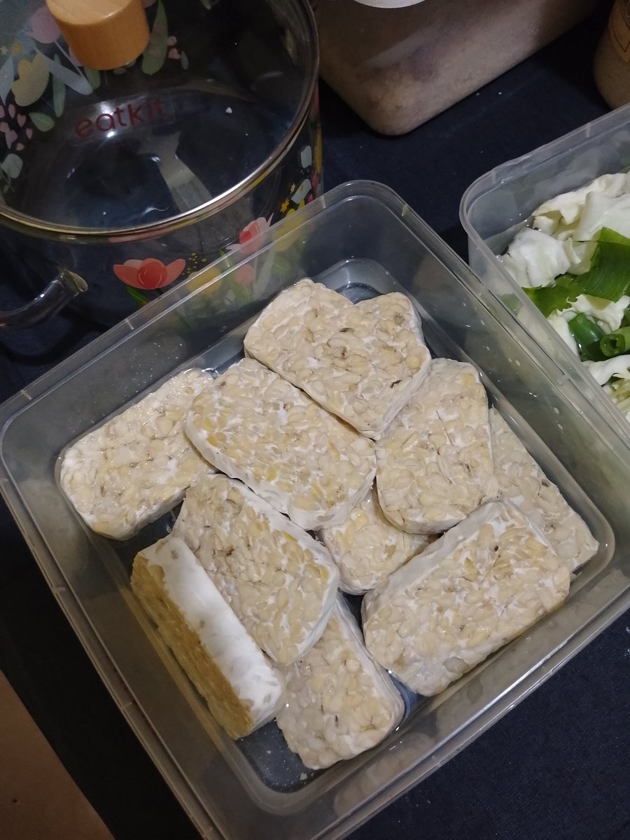 katanya petualang tweet media