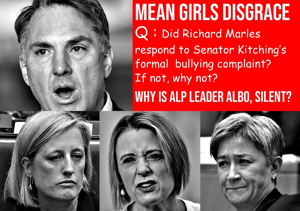 CoaltrainHunter's tweet photo. #MeanGirls
#MeanMedia
The ABC/SBS and the rest of the $20 media jezebels were loudly cheering the deception during the Higgins drunk dating incident. This is a direct breach of their journalistic code-of-ethics @withMEAA
You Pay: they Betray.
They care nothing about us. Never! https://t.co/HL7B9MjGeE