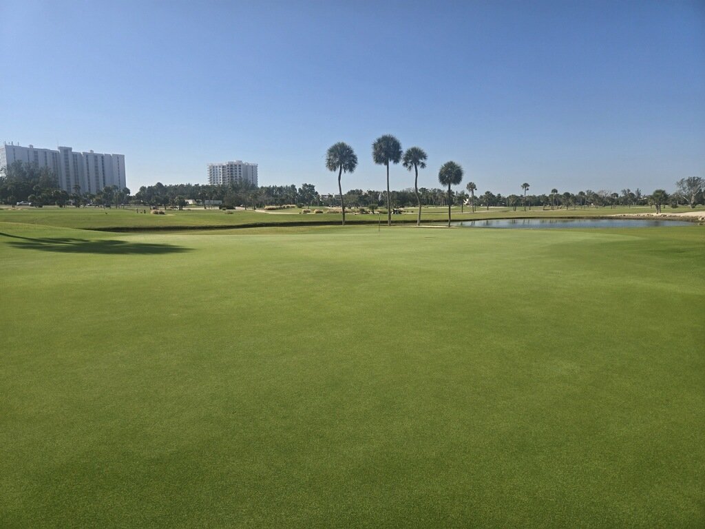 john reilly tweet media