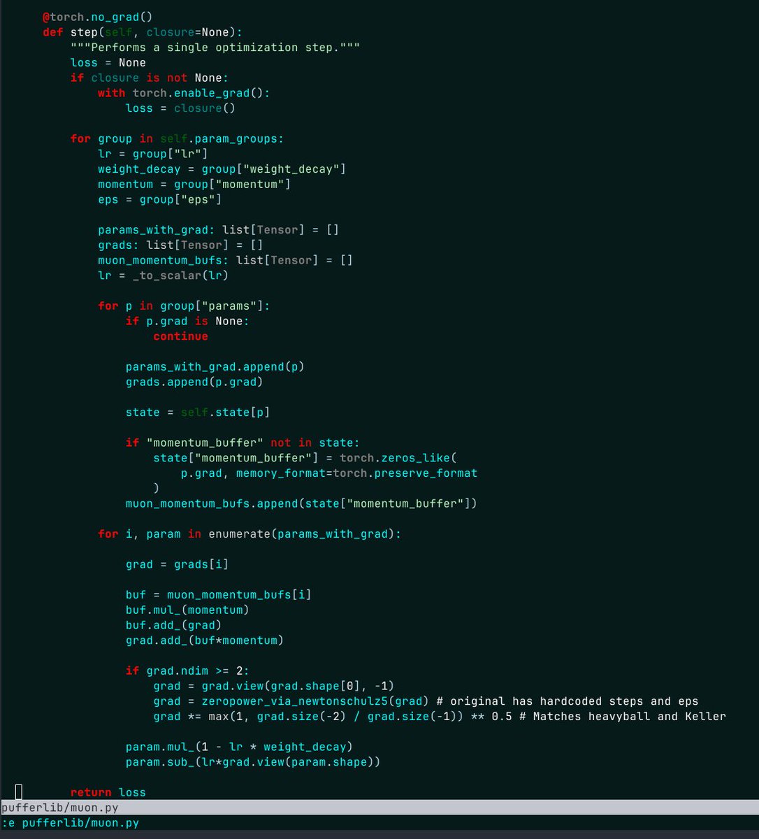 @Clashluke 的 HeavyBall 的 Muon 性能优于 PyTorch 的 Muon。我用不到 150 行代码实现了一个数值上与之匹配的版本。还有一个 cpp 版本！已发布在最新的 PufferLib 4 开发分支中。给这个仓