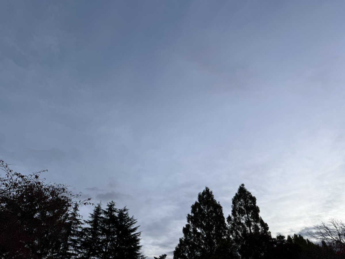 MSP_PiPi_san's tweet image. おはようございます☁️
#イマソラ #ランニング #朝ラン #マラソン