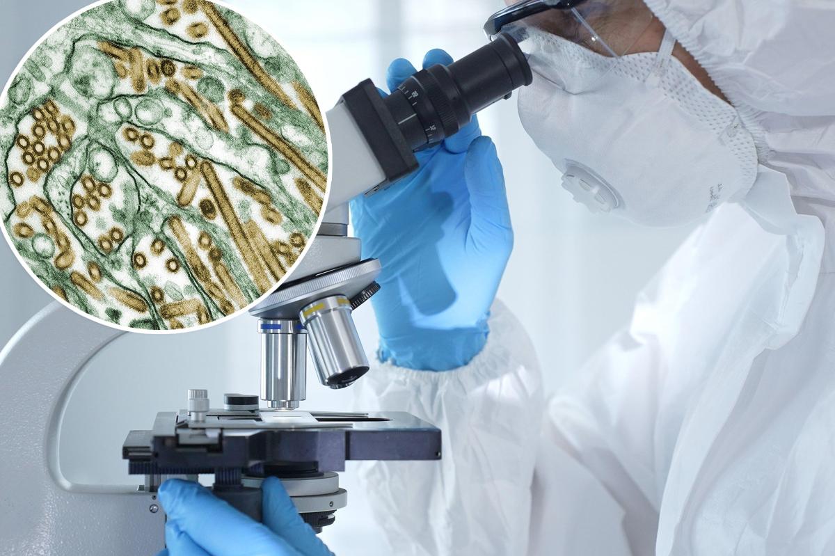 nypost's tweet image. Washington man ‘severely ill’ with ‘unpredictable’ virus never before seen in humans trib.al/PokGPTr