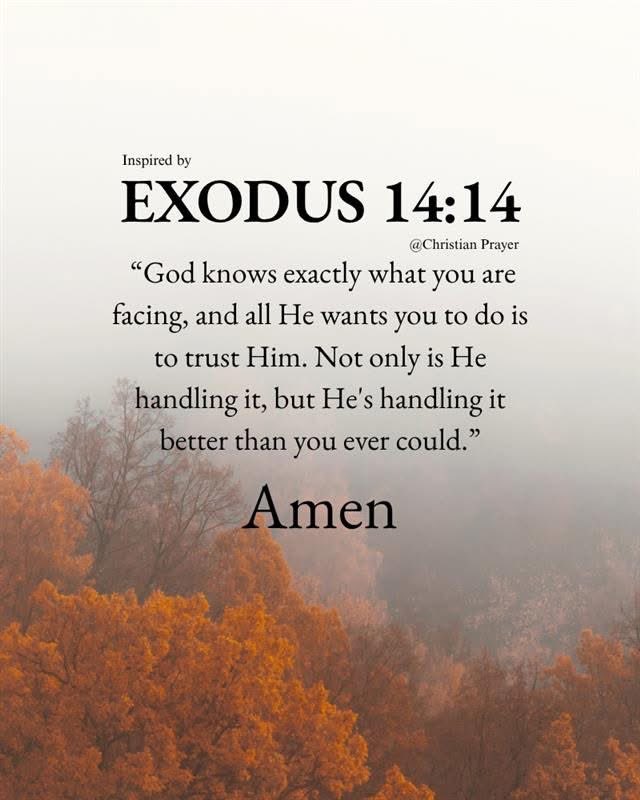 Sunshine-Pass Peace and Kindness (@sunshineroses12) on Twitter photo 