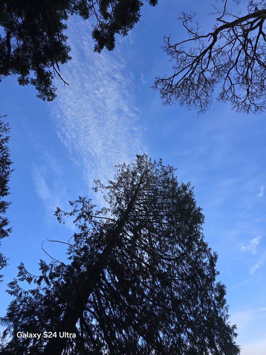 Blue sky's earlier this morning 💙