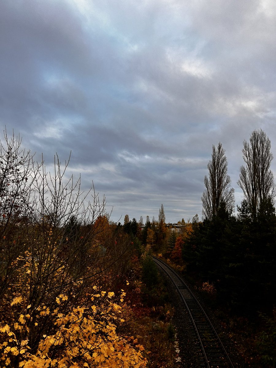 Kusur, güzelliğin kendisidir..

Öğreneceksin…

<a href="/selimtemo/">Selim Temo</a> 

#Gräfenhainichen