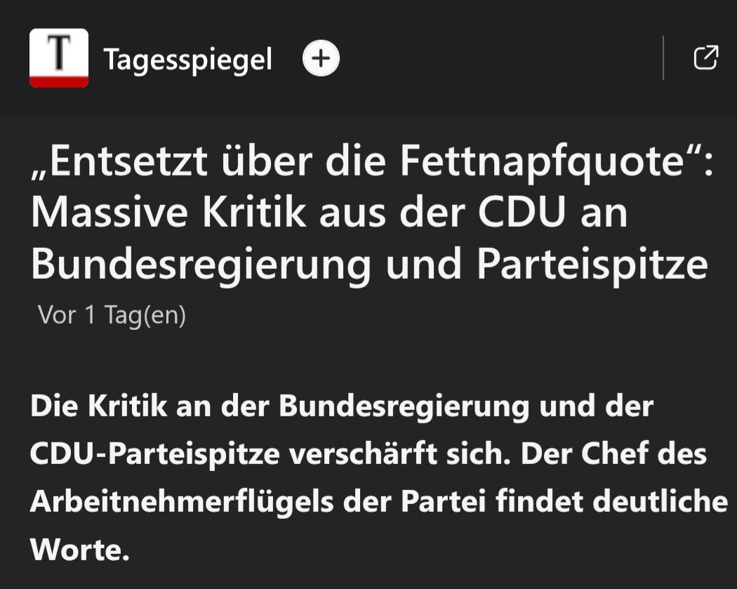 Merz springt da gerne mit Anlauf rein