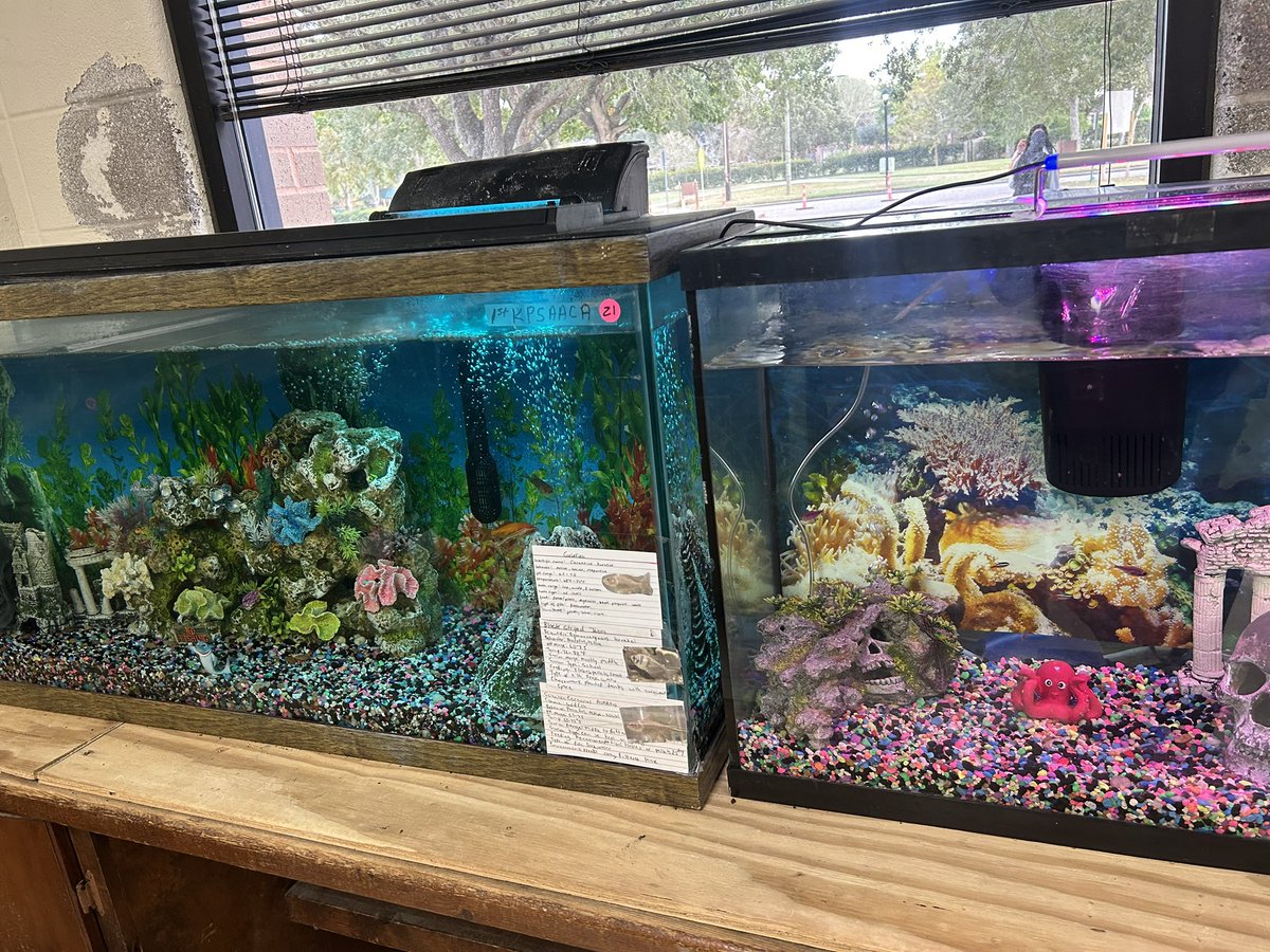 Tara Baker tweet media