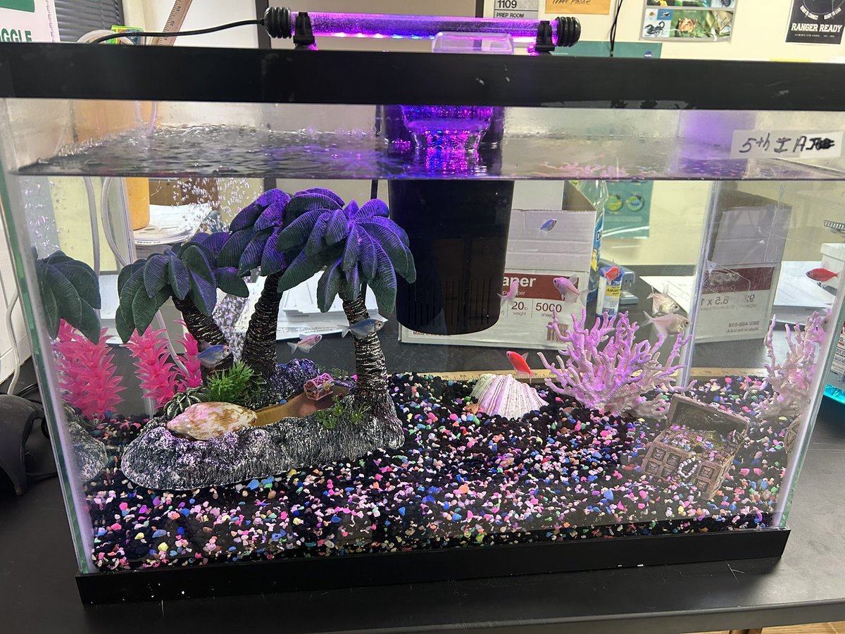 Tara Baker tweet media