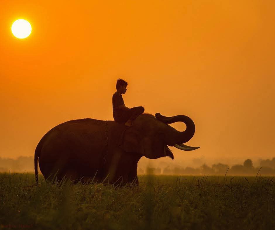 "La extraño y se lo digo con todo 
    el silencio del que soy capaz."

             ~ Charles Bukowski