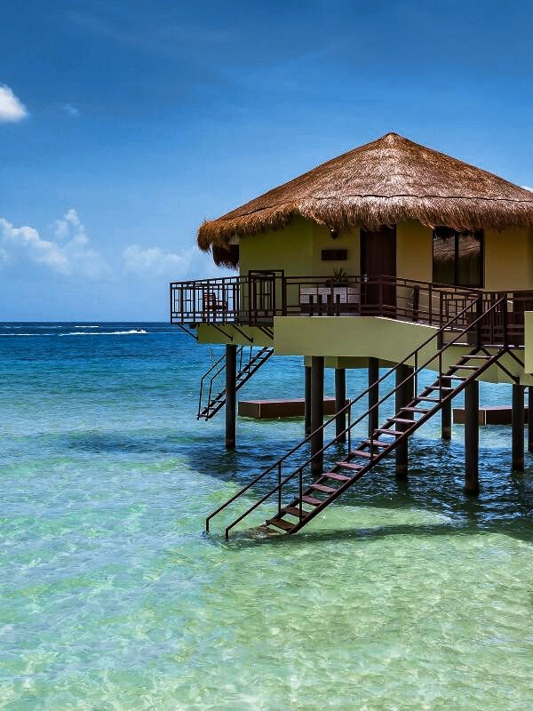 sparklinevs's tweet image. ⠀
   ⠀⠀ֶָ֢⊹𐙚     𝓡 𝒊𝒈𝒉𝒕 𝑏𝑒𝑓𝑜𝑟𝑒 𝐼 𝑐𝑙𝑜𝑠𝑒 𝑚𝑦 𝑒𝑦𝑒𝑠
                 𝒕𝒉𝒆 𝒐𝒏𝒍𝒚 𝒕𝒉𝒊𝒏𝒈 𝒕𝒉𝒂𝒕&apos;𝒔 𝑜𝑛 𝑚𝑦 𝑚𝑖𝑛𝑑
                𝑏𝑒𝑒𝑛 𝑑𝑟𝑒𝑎𝑚𝑖𝑛&apos; 𝒕𝒉𝒂𝒕 𝒚𝒐𝒖 𝒇𝒆𝒆𝒍 𝒊𝒕 𝒕𝒐𝒐
⠀    ⠀  ⠀⠀ ⠀⠀⠀˗ˏˋ #dlaphoto ˎˊ˗
⠀⠀