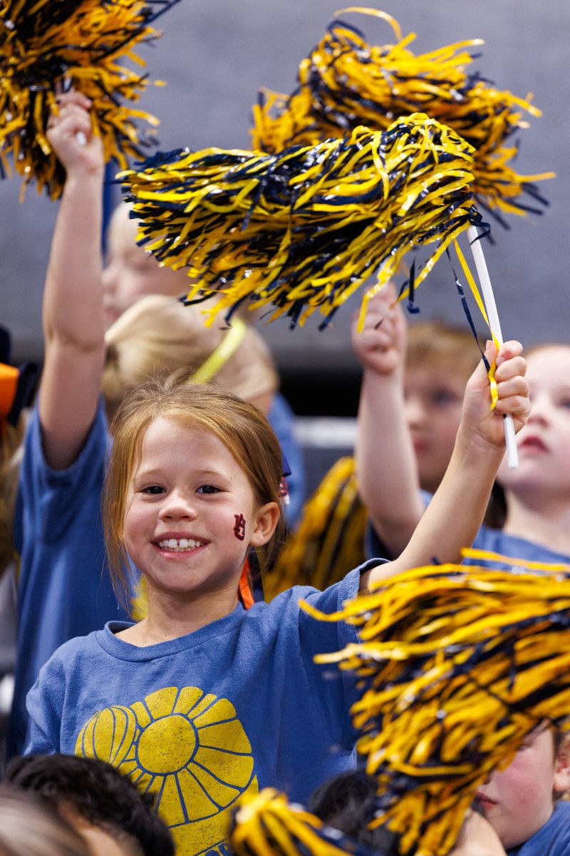 David Gray tweet media