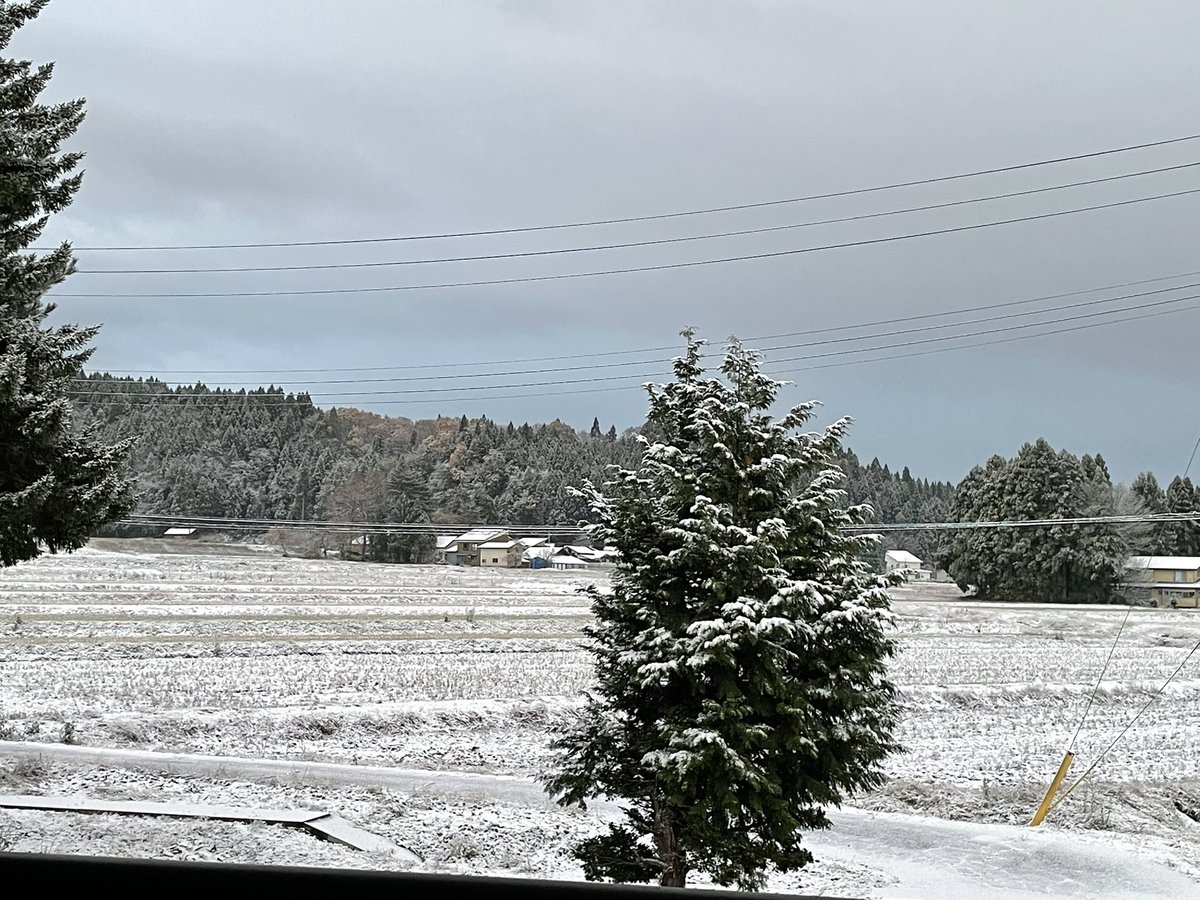 tobenaimajo's tweet image. おはようございます。初雪の朝です。いよいよまたあれが（除雪機）活躍する季節になりそうです。
熊さんたちははよ冬眠してくだされ❗️願い🤲