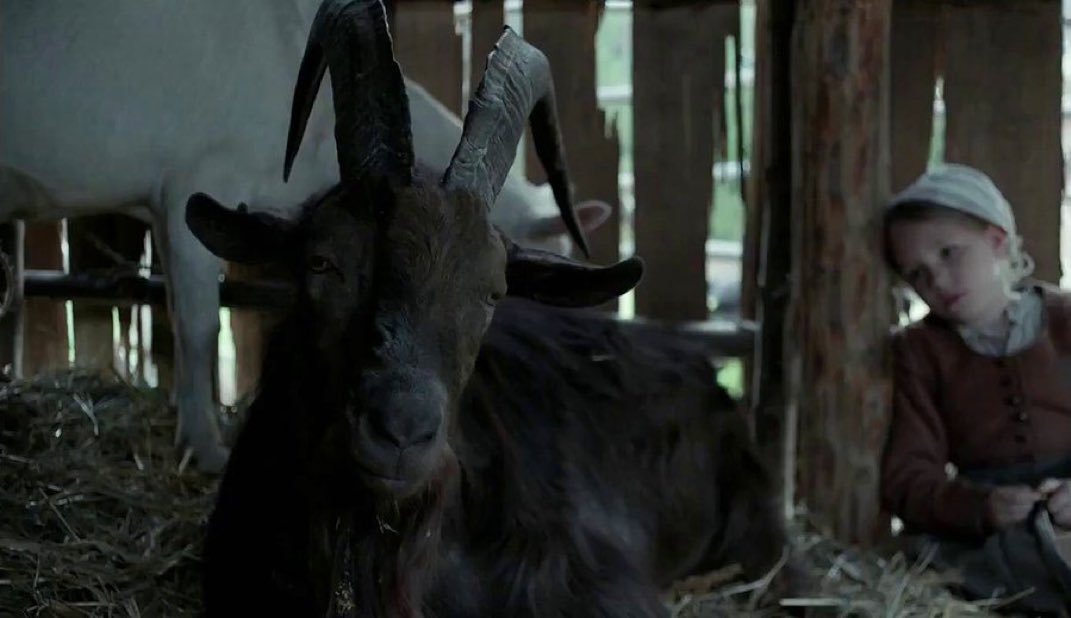 Robert Eggers, director of The Witch (2015), says his number one tip for screenwriters is: never put a goat in your movie.

"You can't train a goat, the goat was a fucking nightmare"