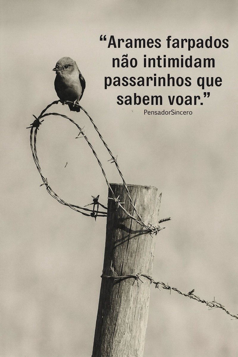 pensadorinspira's tweet photo. 💭… https://t.co/FEXul1tj7b